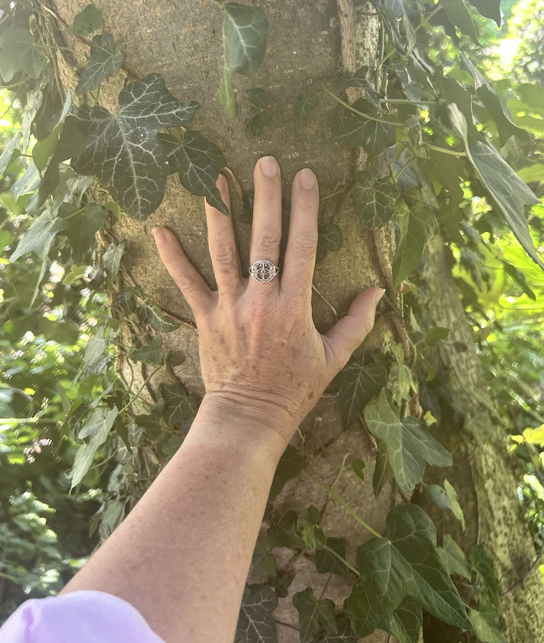 Hand resting on a tree trunk among ivy leaves