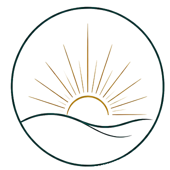 Vision icon